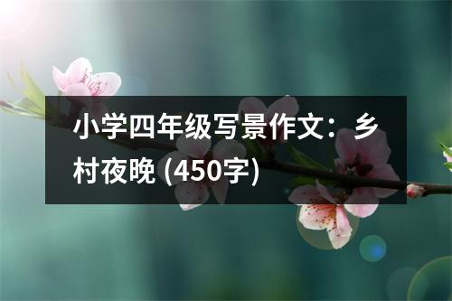 小學四年級寫景作文：鄉(xiāng)村夜晚 (450字)