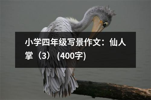 小學(xué)四年級寫景作文：仙人掌（3） (400字)