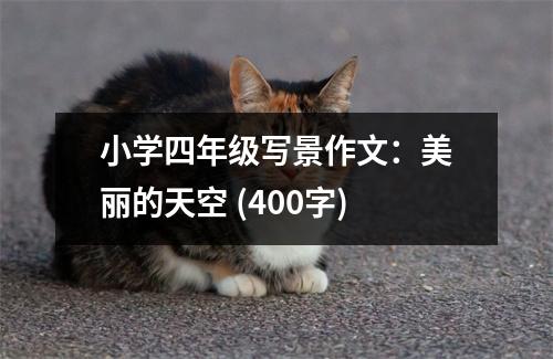 小學(xué)四年級寫景作文：美麗的天空 (400字)