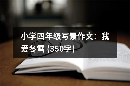 小學(xué)四年級(jí)寫(xiě)景作文：我愛(ài)冬雪 (350字)