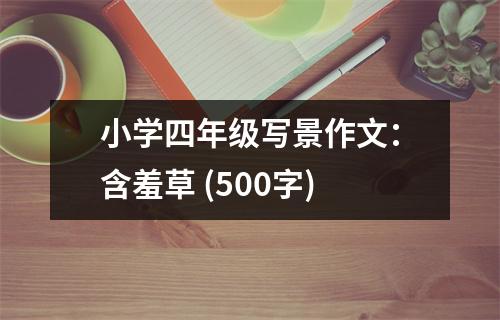 小學(xué)四年級(jí)寫景作文：含羞草 (500字)