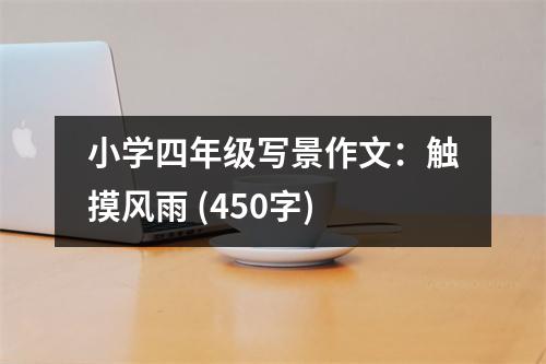 小學四年級寫景作文：觸摸風雨 (450字)