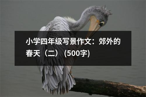 小學(xué)四年級寫景作文：郊外的春天（二） (500字)