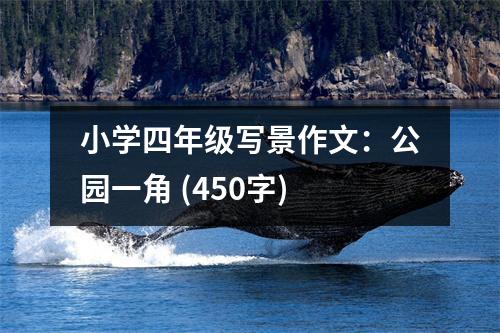 小學(xué)四年級(jí)寫景作文：公園一角 (450字)