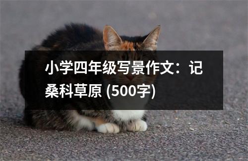 小學(xué)四年級(jí)寫(xiě)景作文：記桑科草原 (500字)
