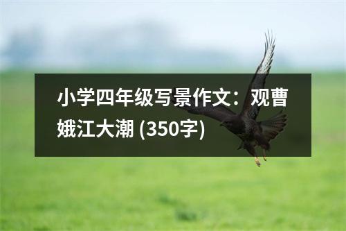 小學(xué)四年級(jí)寫(xiě)景作文：觀曹娥江大潮 (350字)