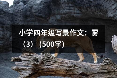 小學(xué)四年級(jí)寫(xiě)景作文：霧（3） (500字)