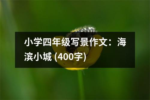 小學(xué)四年級(jí)寫(xiě)景作文：海濱小城 (400字)
