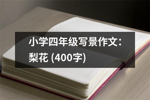 小學(xué)四年級寫景作文：梨花 (400字)