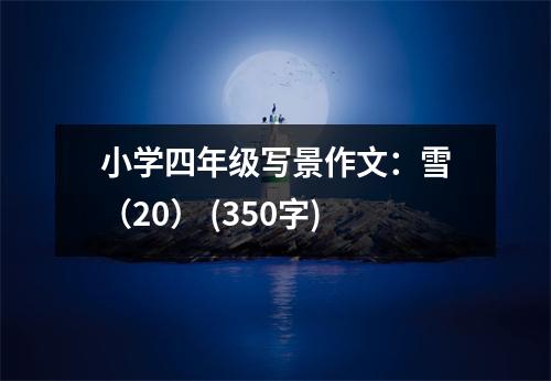 小學(xué)四年級(jí)寫景作文：雪（20） (350字)