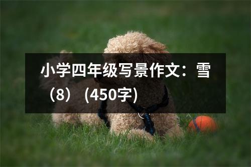 小學(xué)四年級(jí)寫景作文：雪（8） (450字)