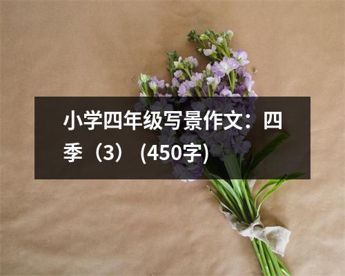 小學(xué)四年級寫景作文：四季（3） (450字)