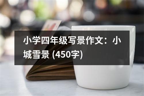 小學(xué)四年級寫景作文：小城雪景 (450字)