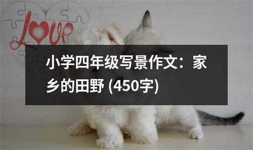 小學(xué)四年級(jí)寫景作文：家鄉(xiāng)的田野 (450字)