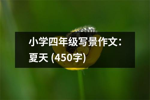小學(xué)四年級(jí)寫景作文：夏天 (450字)