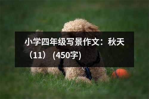 小學四年級寫景作文：秋天（11） (450字)