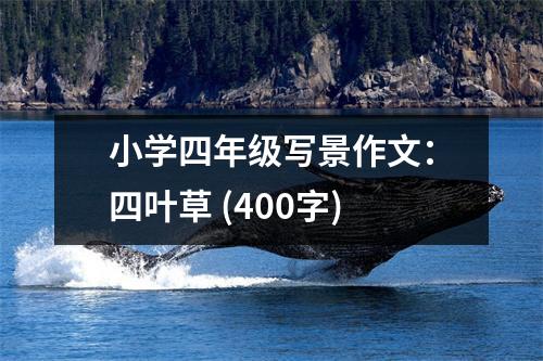 小學(xué)四年級(jí)寫景作文：四葉草 (400字)