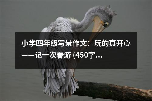 小學(xué)四年級(jí)寫景作文：玩的真開心——記一次春游 (450字)