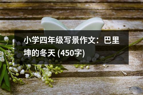 小學(xué)四年級(jí)寫景作文：巴里坤的冬天 (450字)