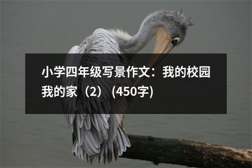 小學(xué)四年級寫景作文：我的校園我的家（2） (450字)