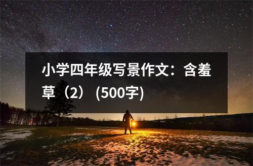 小學四年級寫景作文：含羞草（2） (500字)