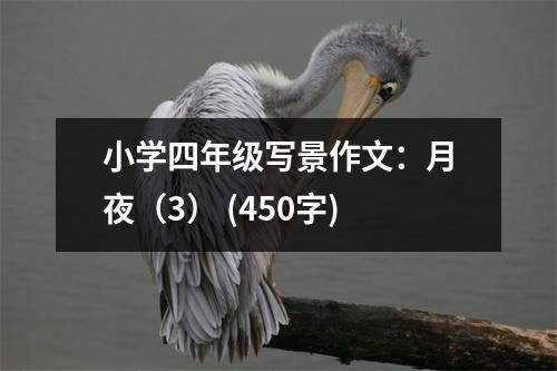 小學(xué)四年級寫景作文：月夜（3） (450字)