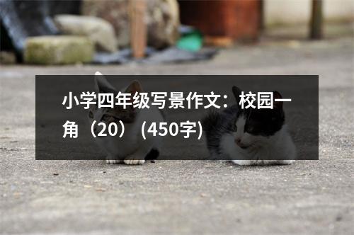 小學(xué)四年級寫景作文：校園一角（20） (450字)