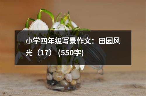 小學(xué)四年級(jí)寫景作文：田園風(fēng)光（17） (550字)
