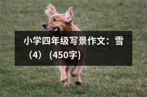 小學(xué)四年級寫景作文：雪（4） (450字)