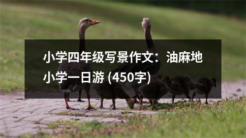 小學(xué)四年級(jí)寫景作文：油麻地小學(xué)一日游 (450字)