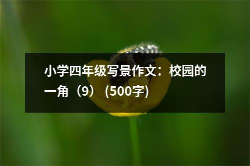 小學(xué)四年級(jí)寫景作文：校園的一角（9） (500字)