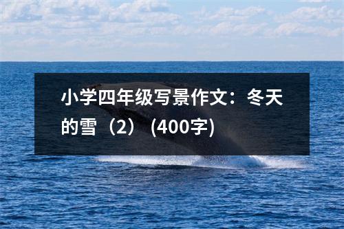 小學(xué)四年級寫景作文：冬天的雪（2） (400字)