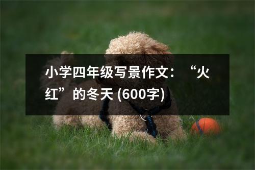 小學四年級寫景作文：“火紅”的冬天 (600字)