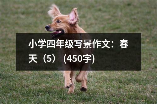 小學(xué)四年級(jí)寫景作文：春天（5） (450字)