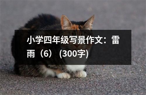 小學(xué)四年級(jí)寫景作文：雷雨（6） (300字)