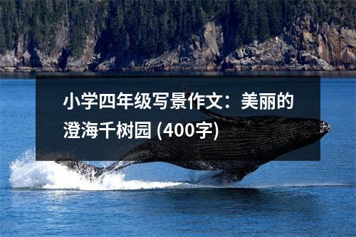 小學(xué)四年級(jí)寫景作文：美麗的澄海千樹園 (400字)