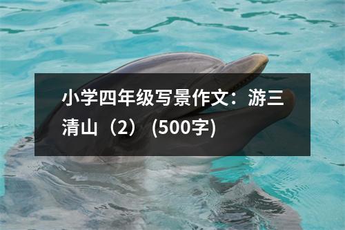 小學(xué)四年級(jí)寫景作文：游三清山（2） (500字)