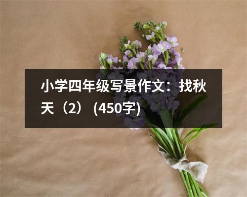 小學(xué)四年級寫景作文：找秋天（2） (450字)