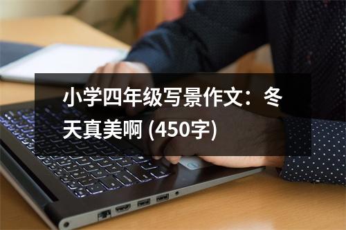 小學(xué)四年級(jí)寫景作文：冬天真美啊 (450字)