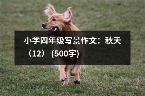 小學(xué)四年級(jí)寫景作文：秋天（12） (500字)