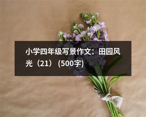 小學(xué)四年級寫景作文：田園風(fēng)光（21） (500字)