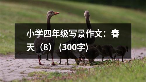 小學(xué)四年級寫景作文：春天（8） (300字)