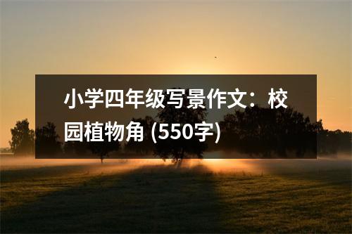 小學(xué)四年級寫景作文：校園植物角 (550字)