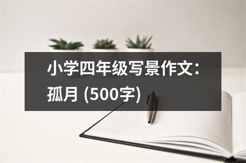 小學(xué)四年級寫景作文：孤月 (500字)