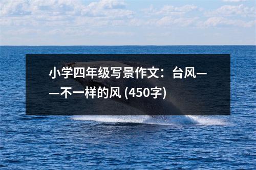 小學四年級寫景作文：臺風——不一樣的風 (450字)