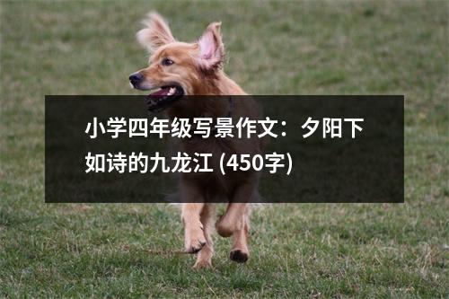 小學(xué)四年級寫景作文：夕陽下如詩的九龍江 (450字)