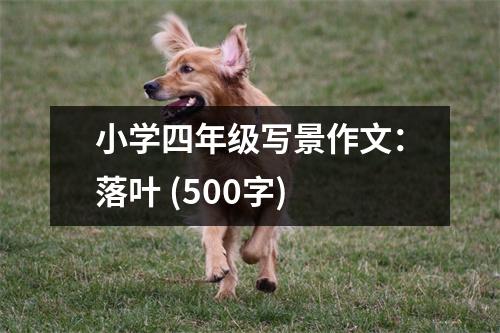 小學(xué)四年級寫景作文：落葉 (500字)