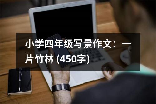 小學(xué)四年級寫景作文：一片竹林 (450字)
