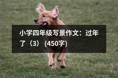 小學四年級寫景作文：過年了（3） (450字)