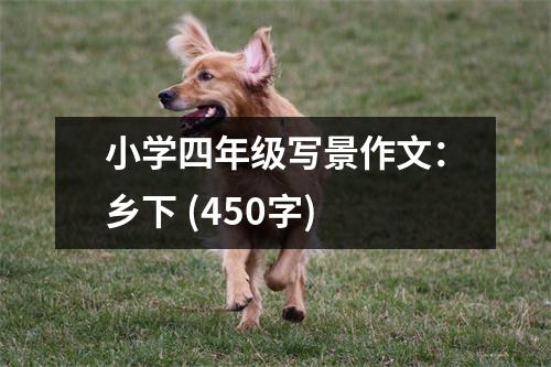 小學(xué)四年級寫景作文：鄉(xiāng)下 (450字)